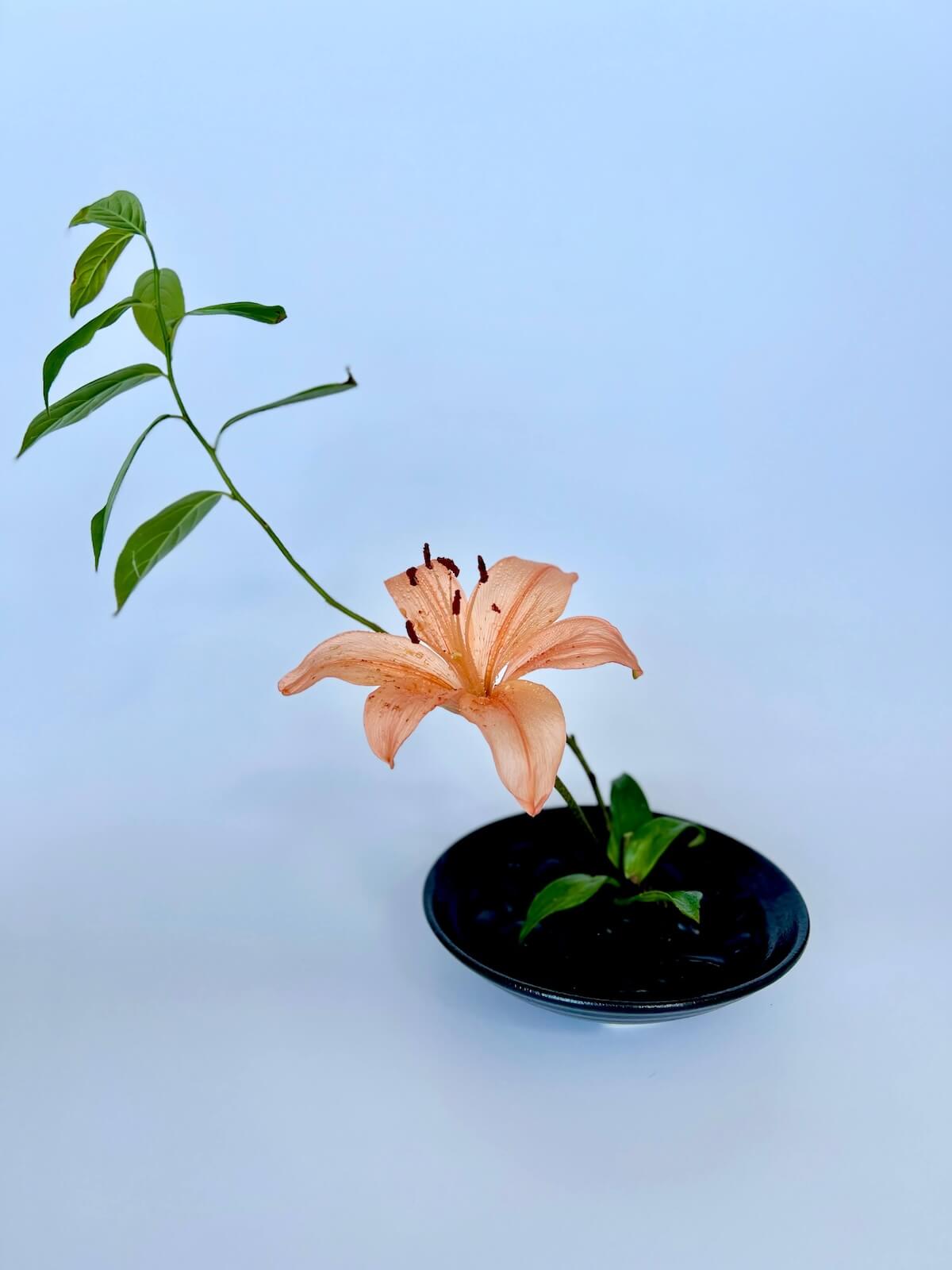 Beautiful Ikebana flower arrangements showcasing the Japanese art of floral design, created during workshops, private events, or in studio.