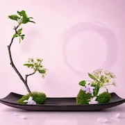 Download the Zen Flowers app