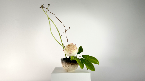 Ikebana Arrangement - Quiet Curves