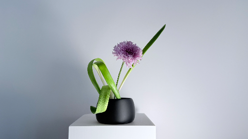 Ikebana Arrangement - Tiny Dancer