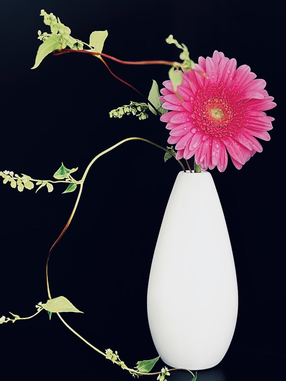 Beautiful Ikebana flower arrangements showcasing the Japanese art of floral design, created during workshops, private events, or in studio.