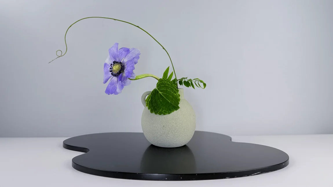 Ikebana Arrangement - Question Mark In A Green Vase