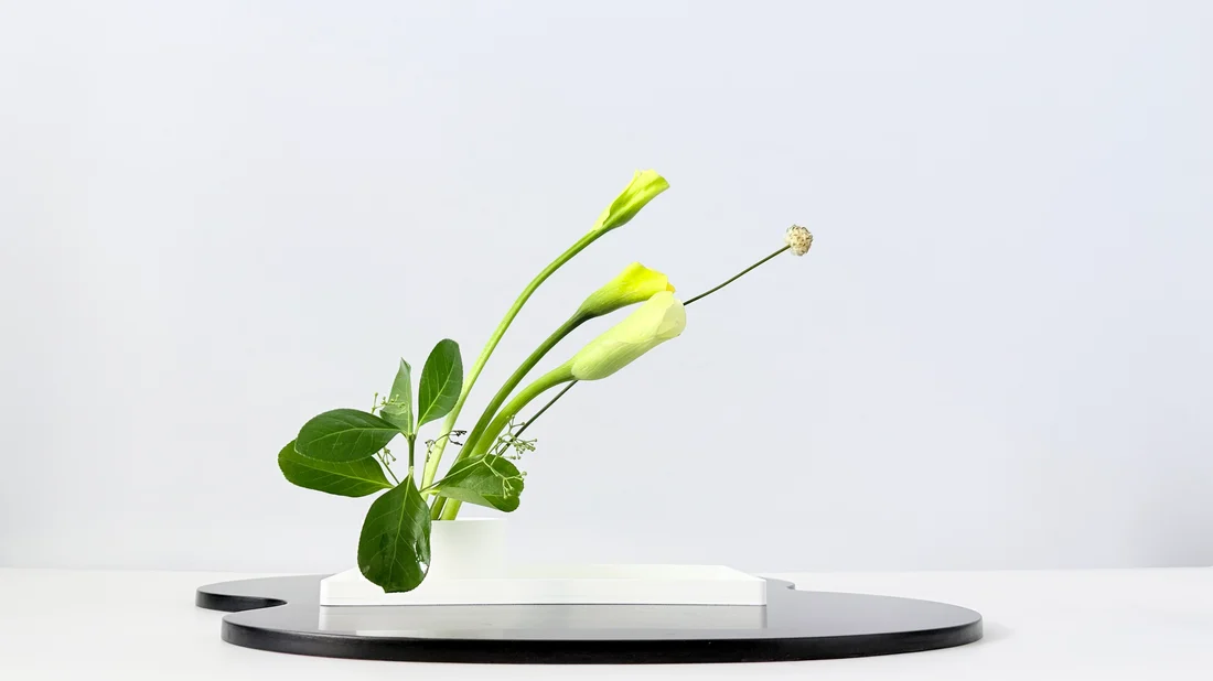 Ikebana Arrangement - Sophistication Has a Sidekick