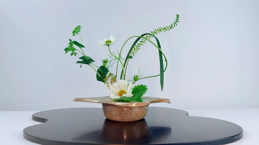 Ikebana Arrangement - Two Cosmos