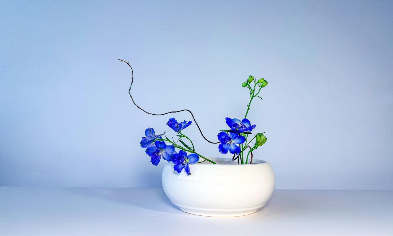 Ikebana Reflections Apple TV app logo, a beautifully immersive app designed to bring calm, color, and artistry into your home through Japanese flower arranging