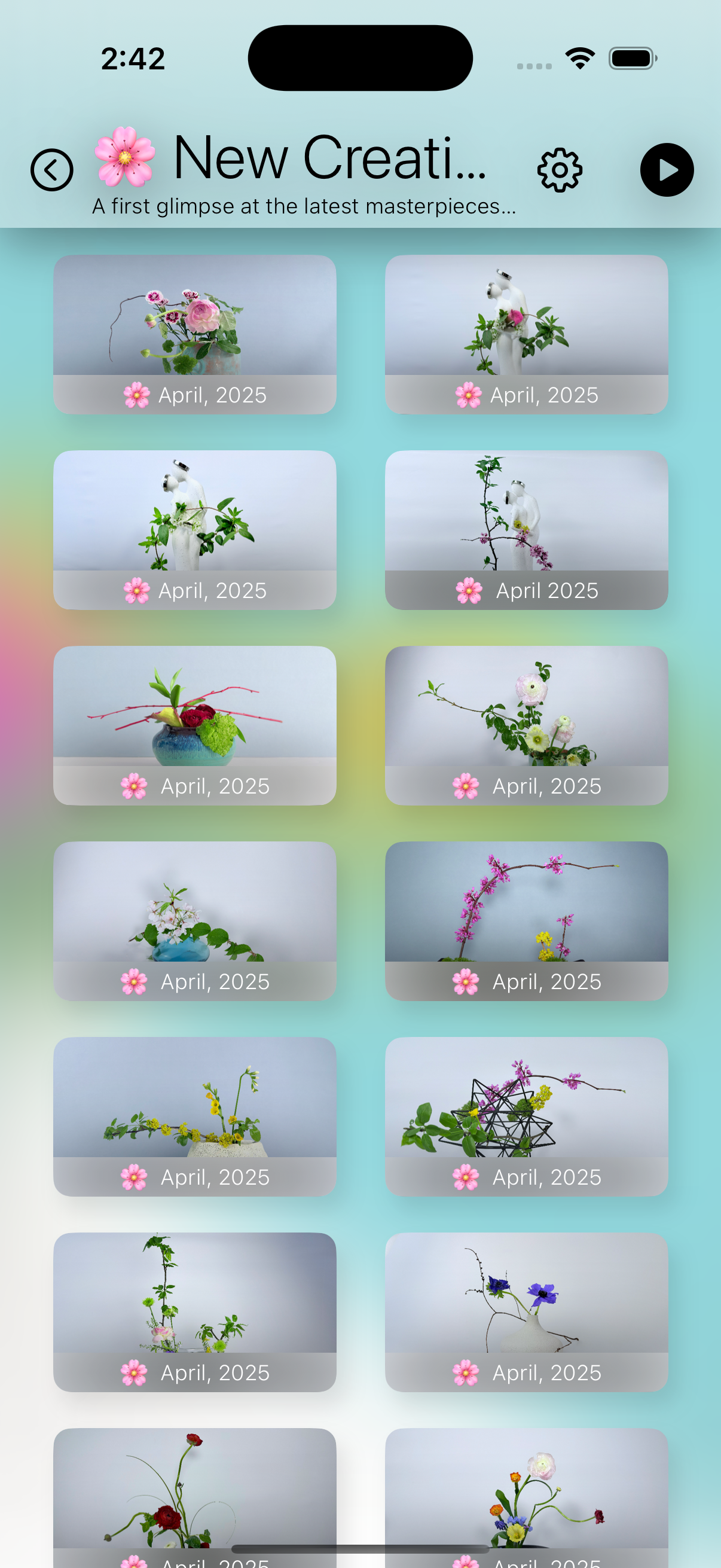 Ikebana Reflections iPhone Gallery, a beautifully immersive app designed to bring calm, color, and artistry into your home through Japanese flower arranging