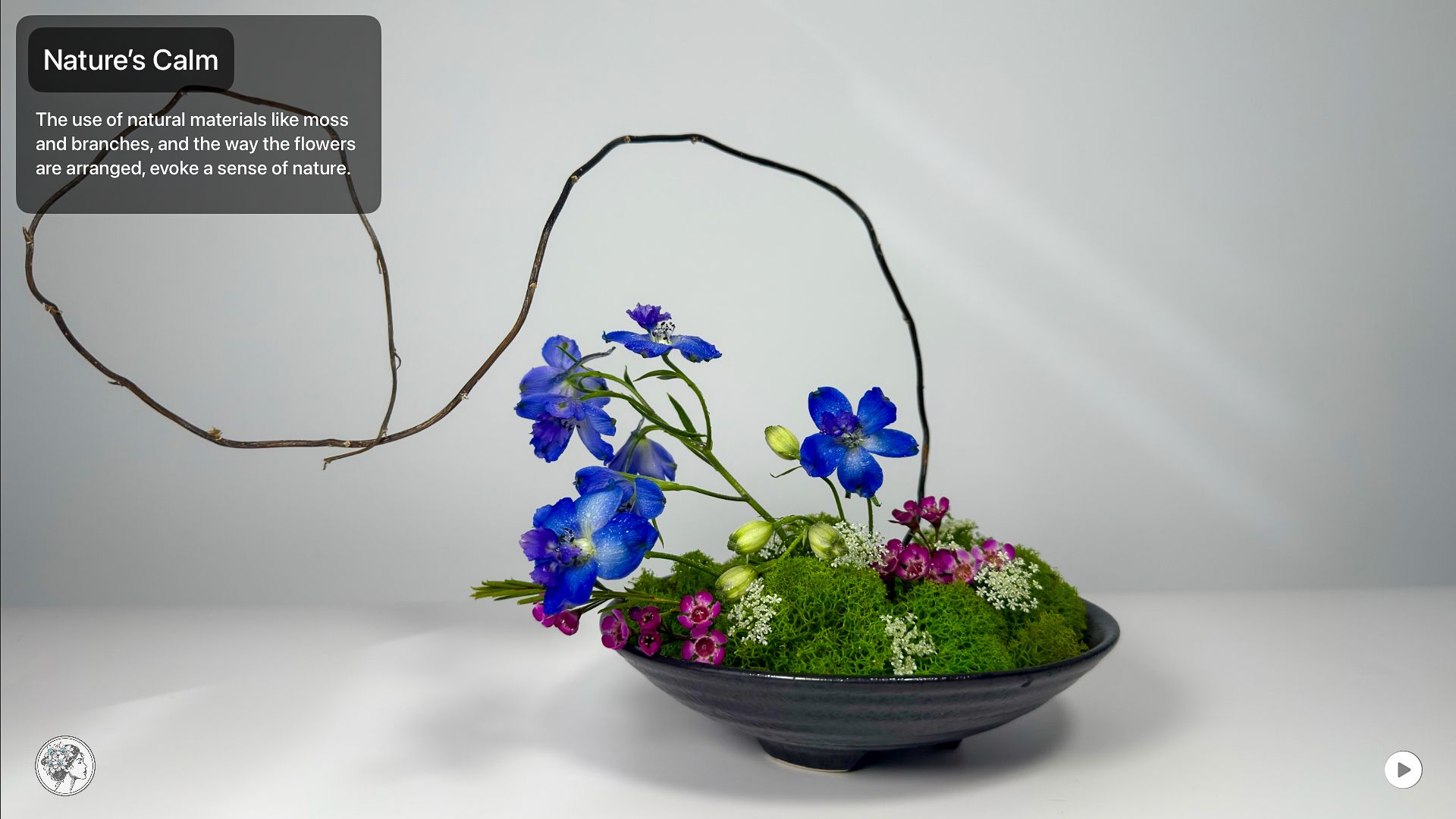 Ikebana Reflections Apple TV app Nature's Calm collection, showcasing a curated collection of over 100 original works rooted in harmony, elegance, and seasonal transformation
