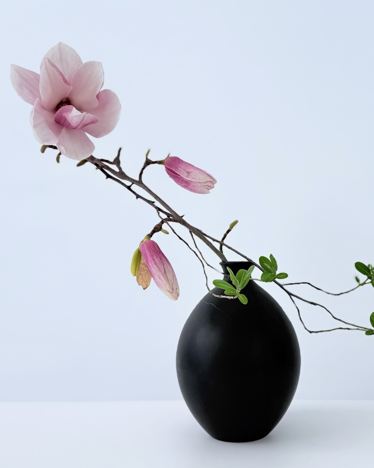 Ikebana arrangement that quietly influence your appetite